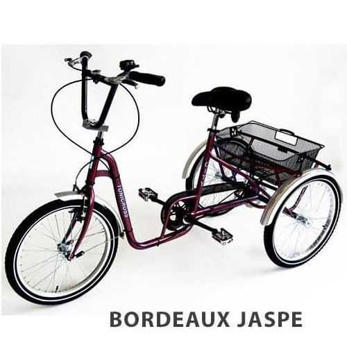 Photo ticycle Tonicross City Rupiani rouge bordeaux